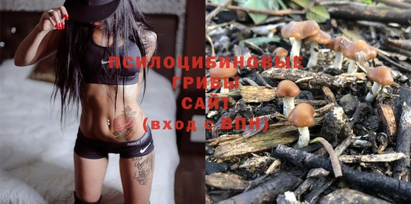 ПСИЛОЦИБИНОВЫЕ ГРИБЫ Белоозёрский
