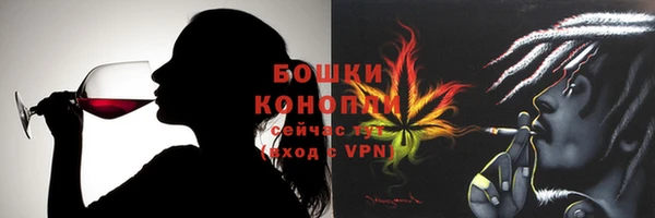 гашик Белокуриха