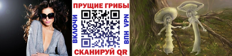 цены   Володарск  Галлюциногенные грибы Magic Shrooms 